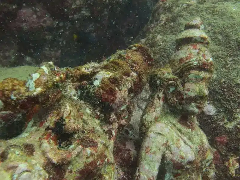 swami rock diving Trinco